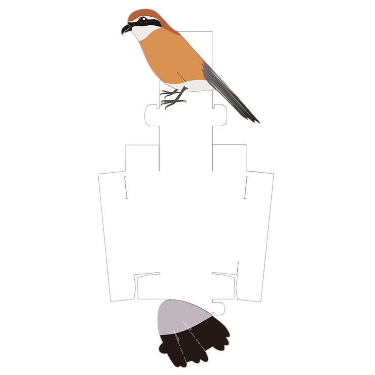 鳥の箱展開図面